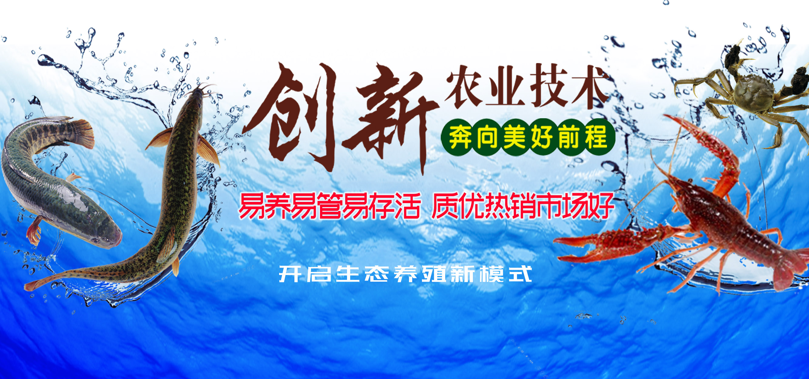 �ǻ�ˮ����ֳ